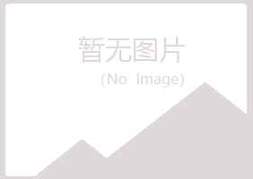 白银平川从寒工程有限公司